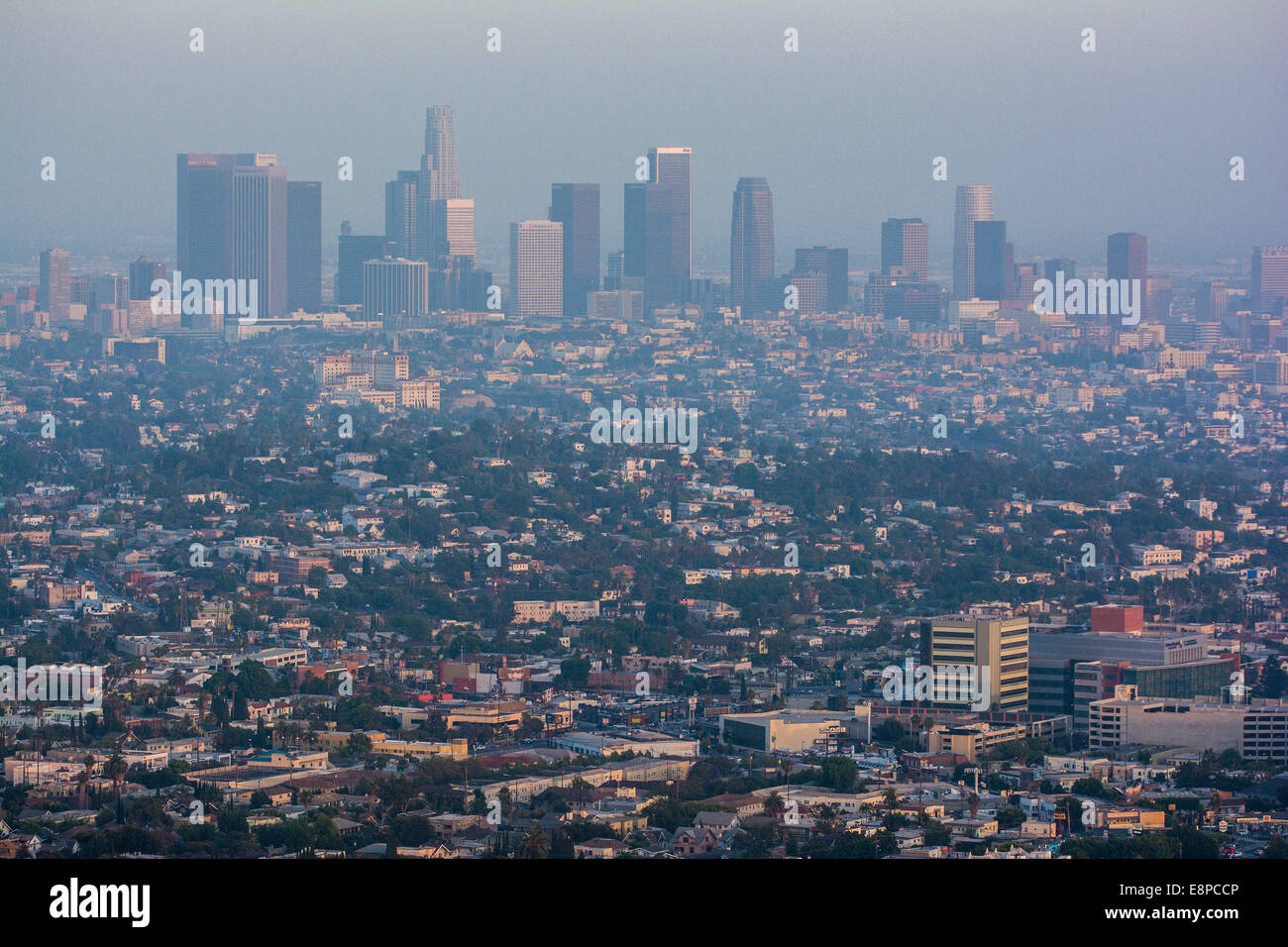 Blick auf Downtown Los Angeles und Umgebung vom Griffith Park, Los Angeles, Kalifornien, USA Stockfoto