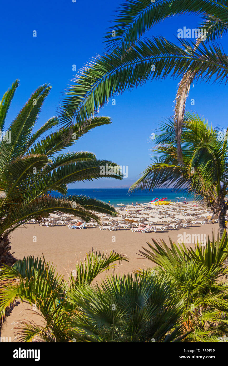 Puerto del Carmen auf Lanzarote: Strand Playa Grande Stockfoto
