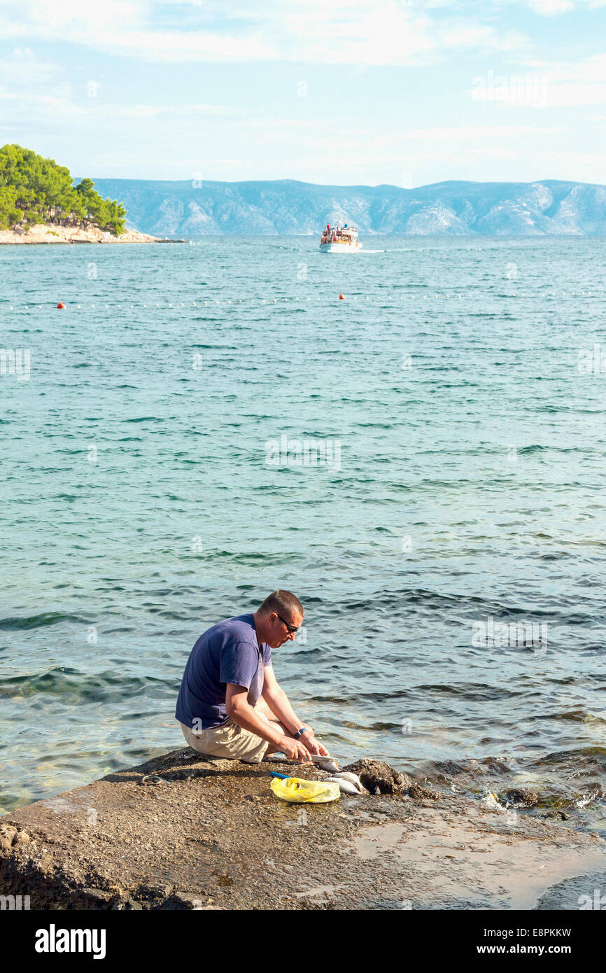 Mann Reinigung Fische in Jelsa, Insel Hvar, Kroatien Stockfoto