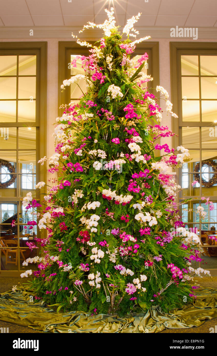 Dieser spektakulre Weihnachtsbaum besteht aus tropischen Pflanzen wie  Orchideen, Farne und Bromelien. Der Baum steht bei mehr als 20 f  Stockfotografie - Alamy