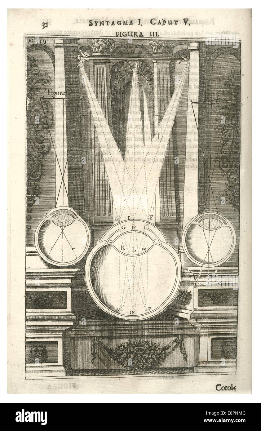 Anatomie der vision Stockfoto