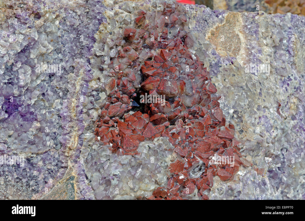 Amethyst Druse über Beige rock Stockfoto