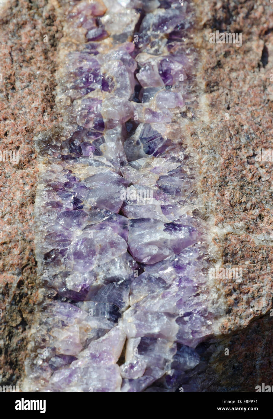 Amethyst Druse über Beige rock Stockfoto