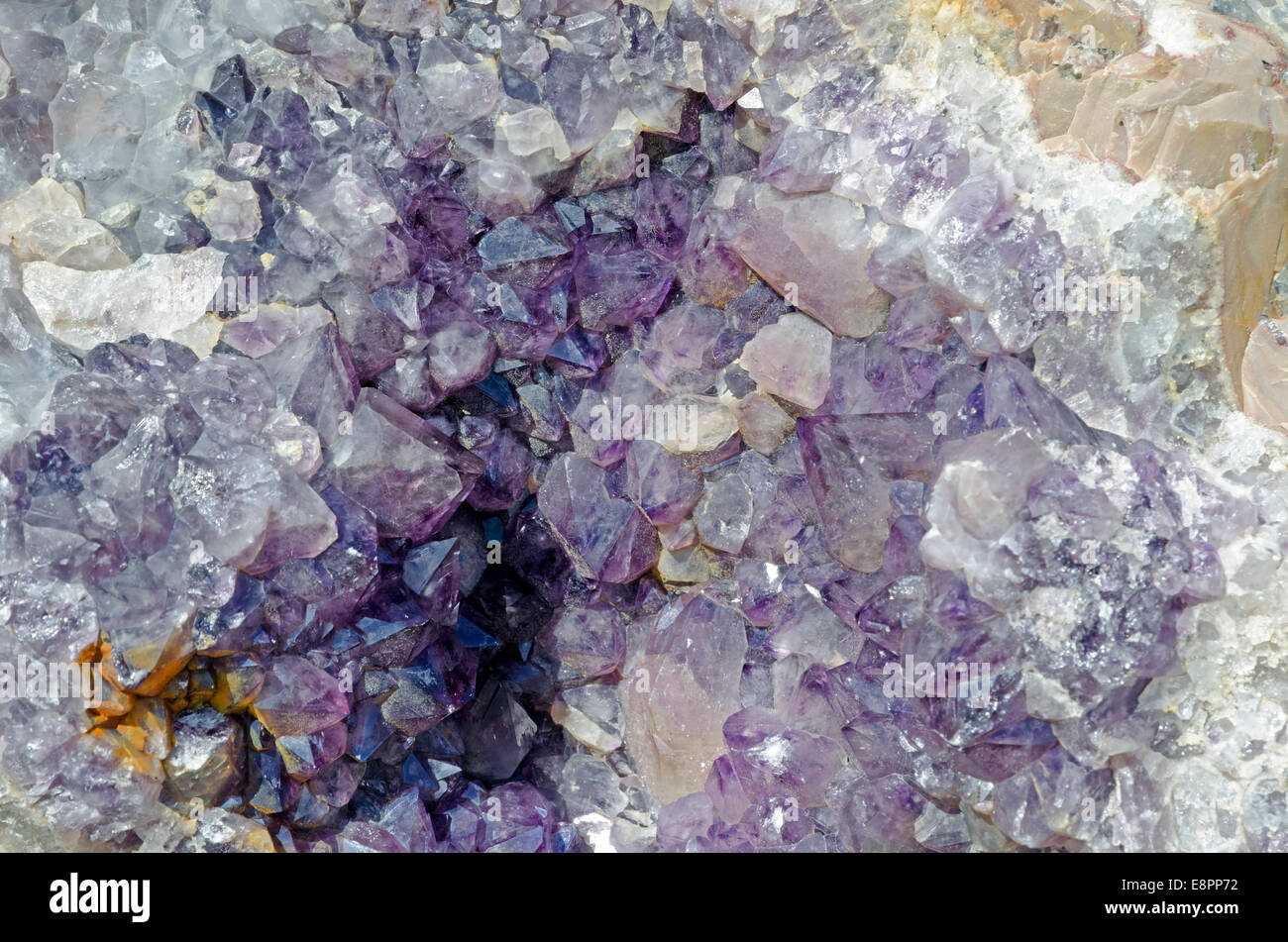 Amethyst Druse über Beige rock Stockfoto