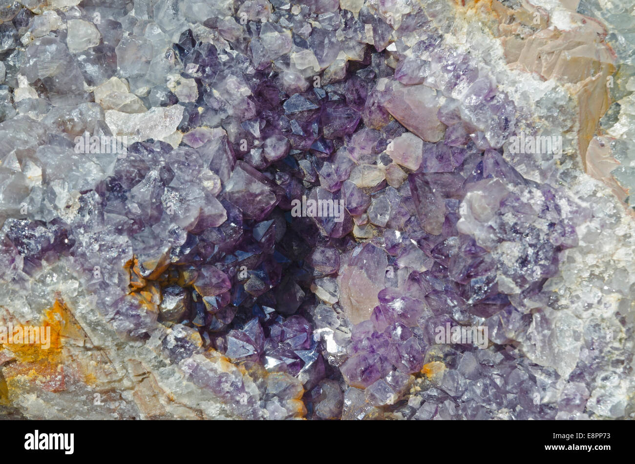 Amethyst Druse über Beige rock Stockfoto