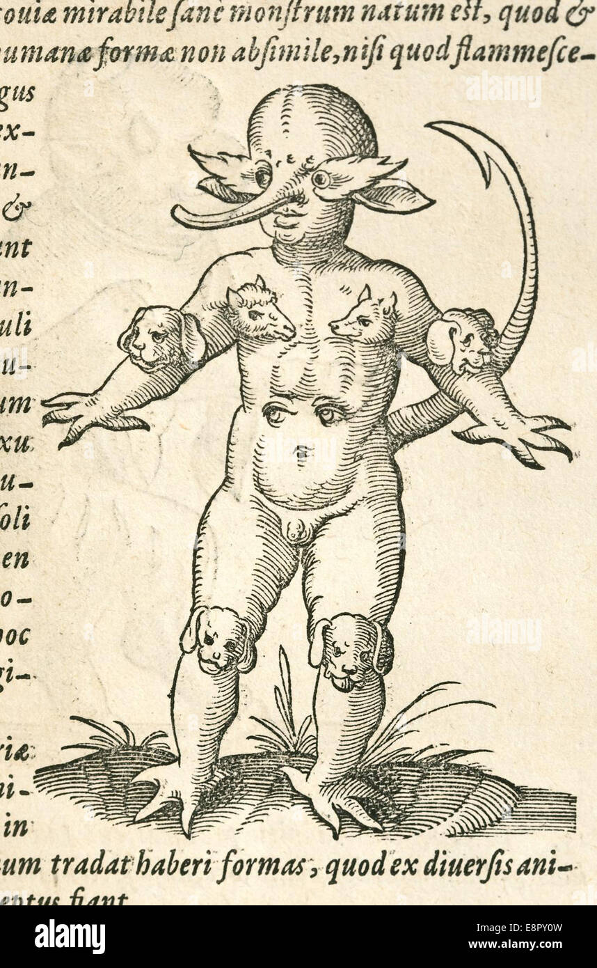 Erscheint In: Rueff, Jakob, ca. 1500-1558. De Conceptu, et haben Hominis Bildbeschreibung: weit berichtet 1547 & Quot Stockfoto