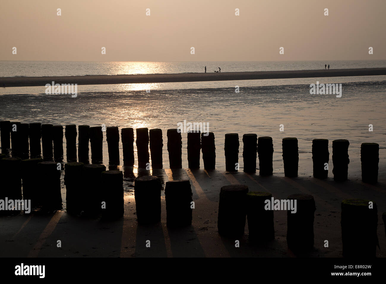 Sonnenuntergang am Strand mit den Polen der eine Leiste Westenschouwen, Schouwen-Duiveland, Zeeland, Niederlande Stockfoto