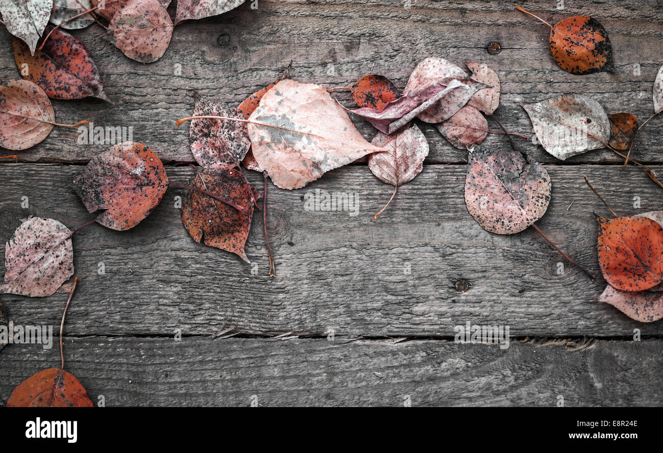Hintergrundtextur mit alten Holztisch und rote herbstliche Blätter Stockfoto