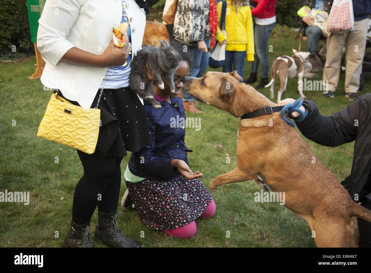 Segnung der Tiere-Dienst in einem Garten der Episcopal Church in Brookjlyn, New York. Stockfoto