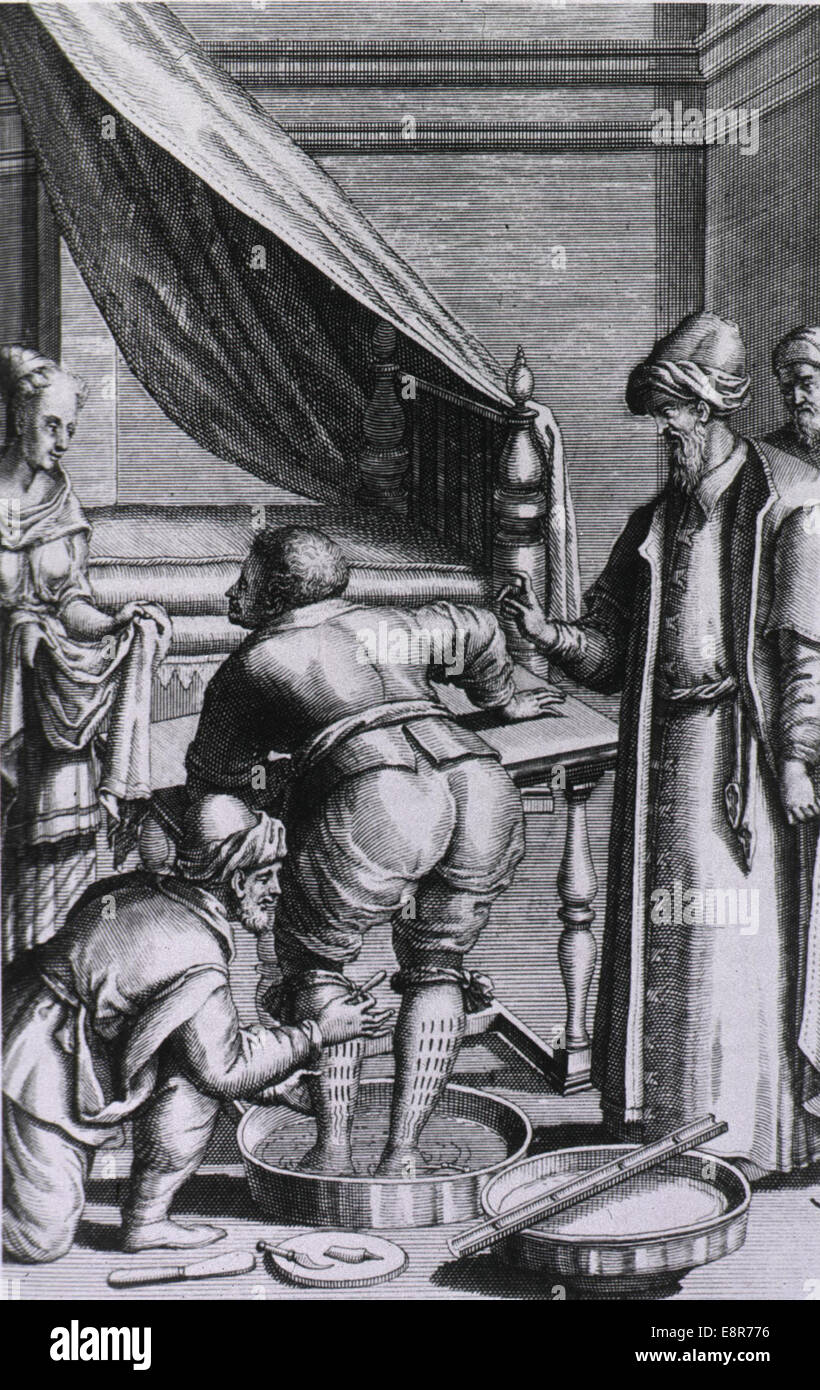 Erstellt von: Alpini, Prosper, 1553-1617, Autor.    Impressum: Lugduni Batavorum: Vid. &amp; Fil. Mais. Boutestein Stockfoto