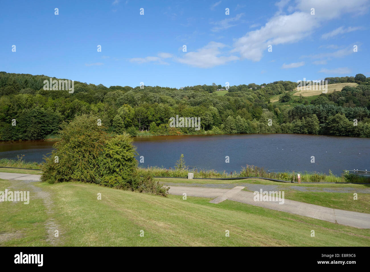 Trimpley Stausee, Trimpley, Worcestershire, England, Vereinigtes Königreich, im Sommer Stockfoto