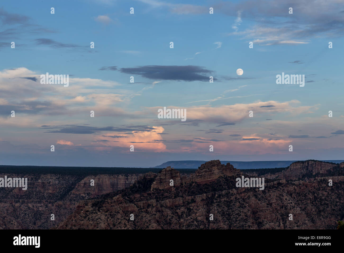 Vollmond über dem Grand Canyon. USA, Kalifornien Stockfoto