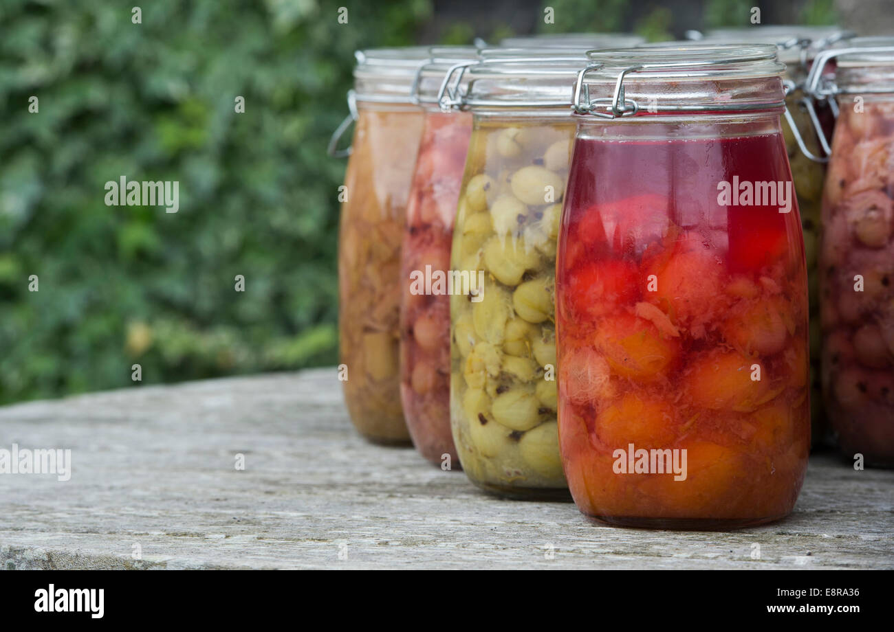 In Flaschen Früchte auf einem Holztisch. Lagerung von Lebensmitteln für den winter Stockfoto