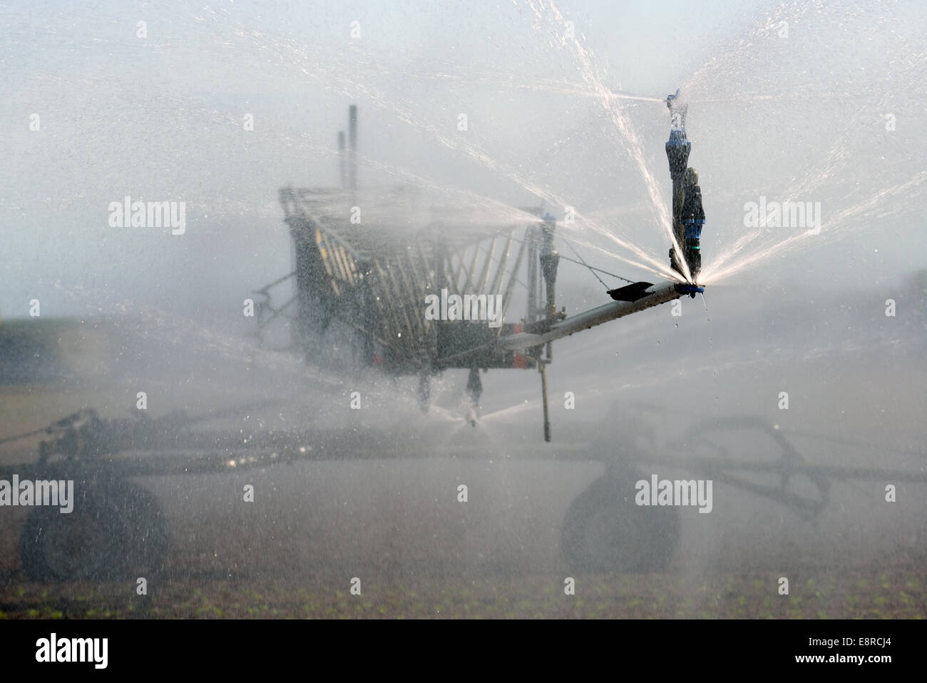 Briggs selbstfahrende Beregnungsanlage Stockfoto
