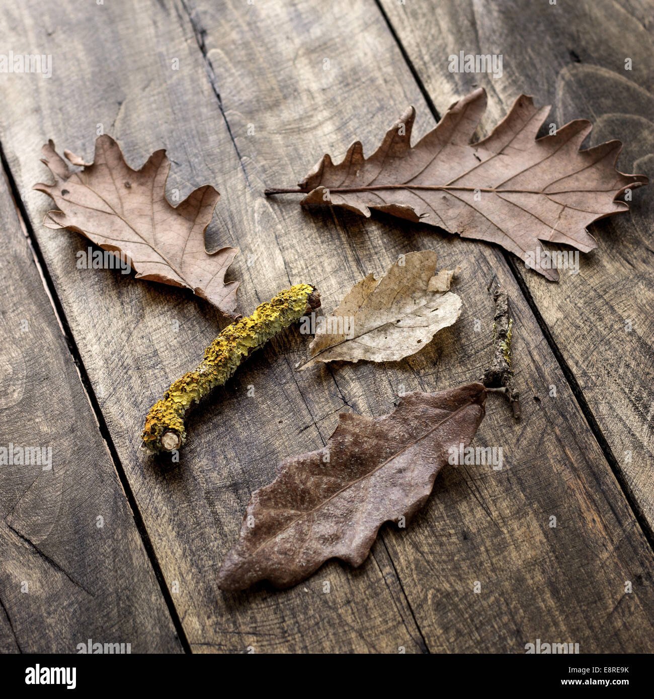 Herbstlaub auf Holzbrettern Hintergrund, Hintergrundbeleuchtung Stockfoto