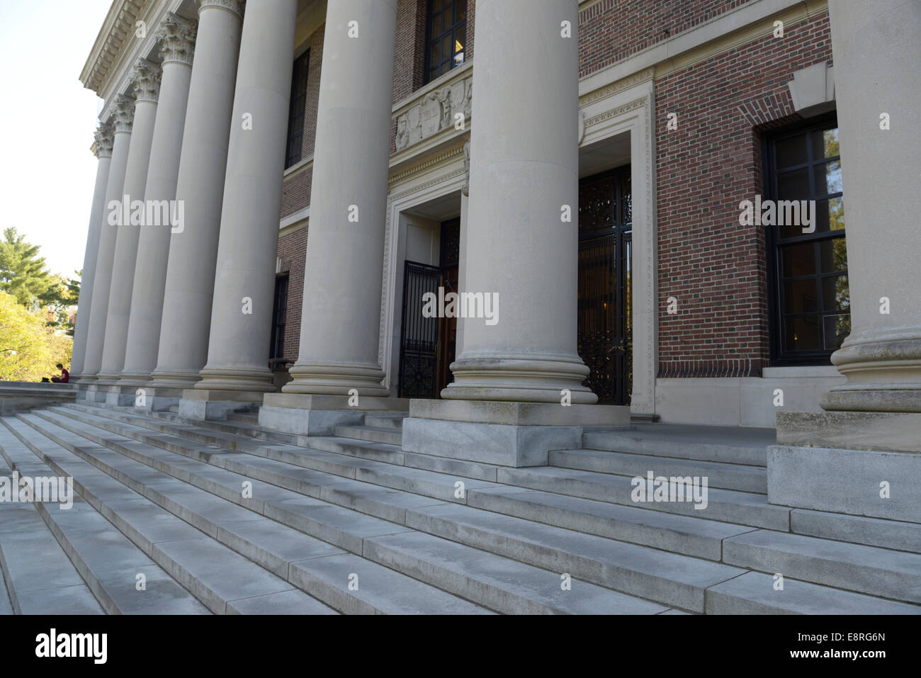 Widener Bibliothek vor dem Eingang, Harvard College Stockfoto