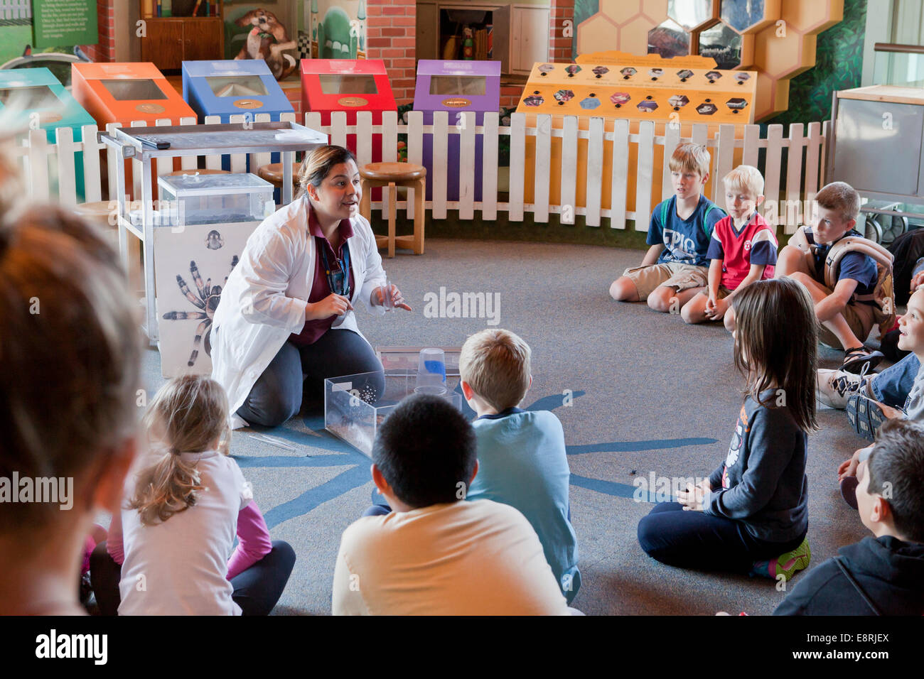 Kinder versammelten sich um ein Biologe demonstrieren Vogelspinne Fressverhalten - Smithsonian Institution Natural History Museum Stockfoto