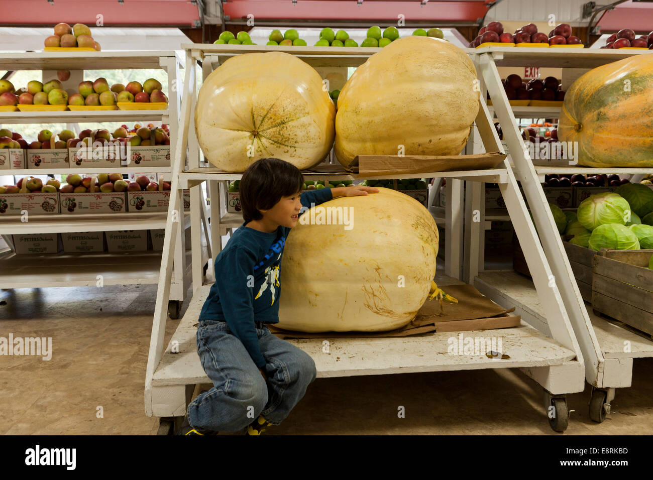 Kind sitzt neben riesigen Kürbisse auf Bauernmarkt - Pennsylvania USA Stockfoto