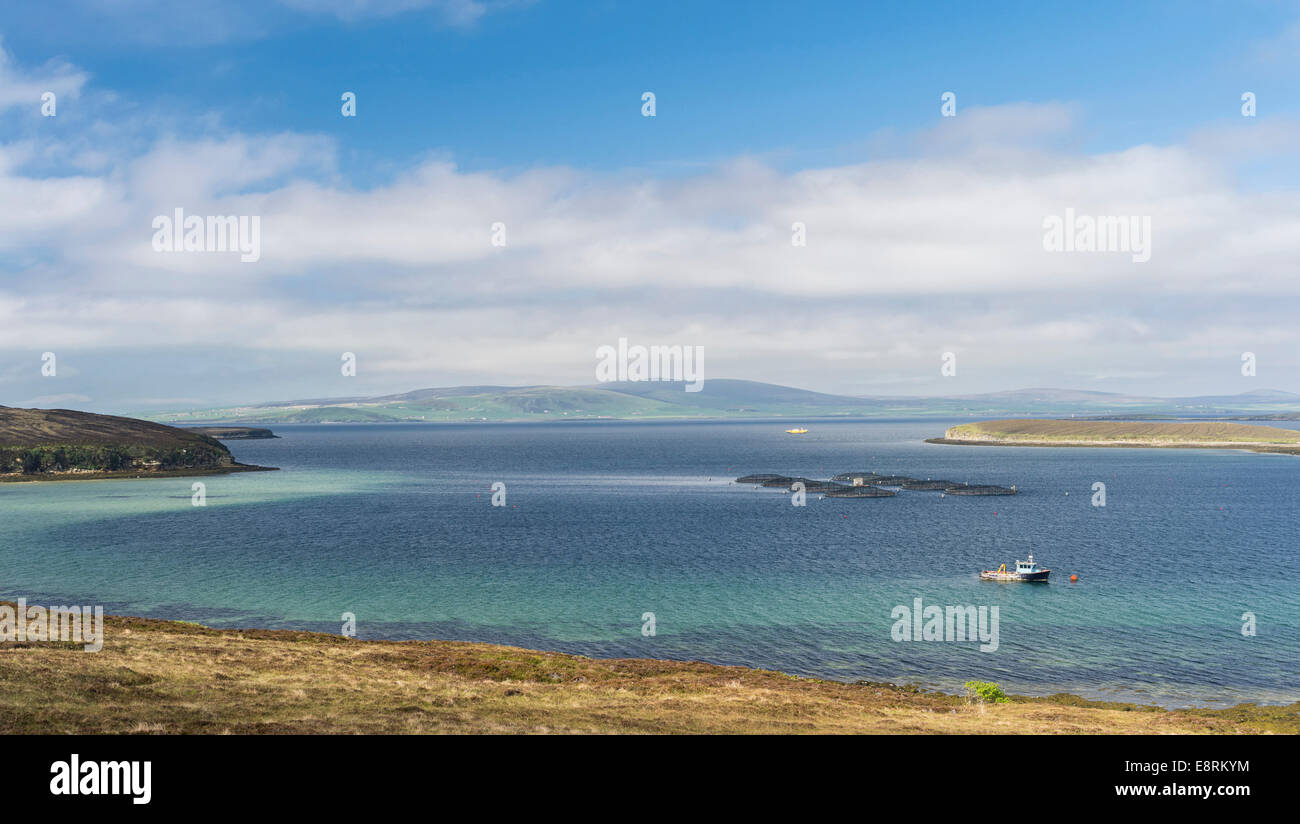 Hoy Island, Blick über Scapa Flow mit Lachs Käfige, Orkney Inseln, Schottland. (Großformatige Größen erhältlich) Stockfoto