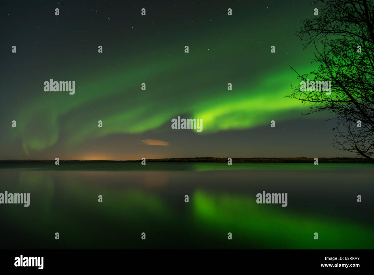Nordlichter im Wasser spiegelt.  Es ist ein Bild von einem Killerwal in den Himmel. Stockfoto