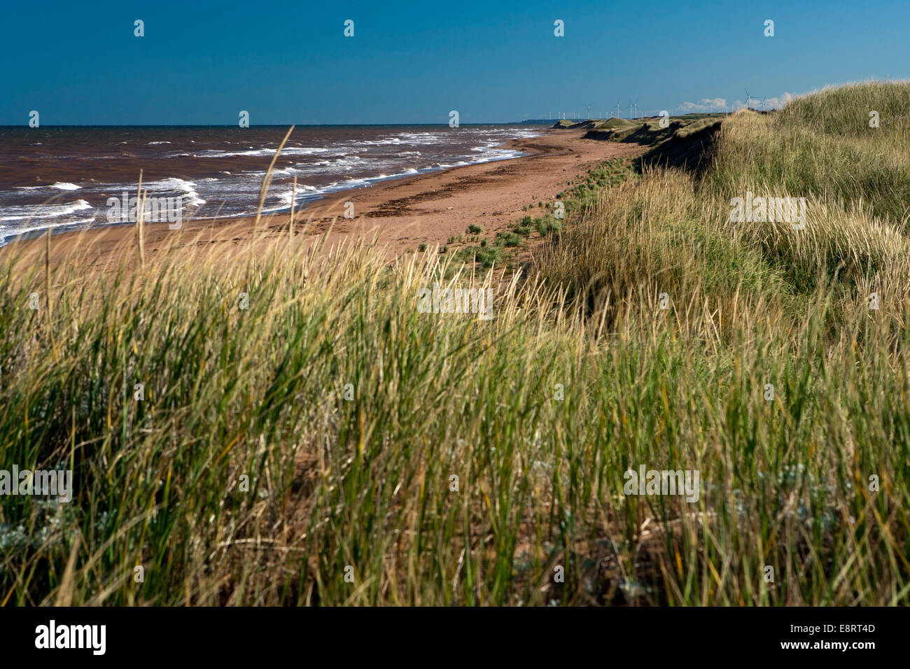 Küste am Nordkap Coastal Drive - Prince Edward Island, Canada Stockfoto