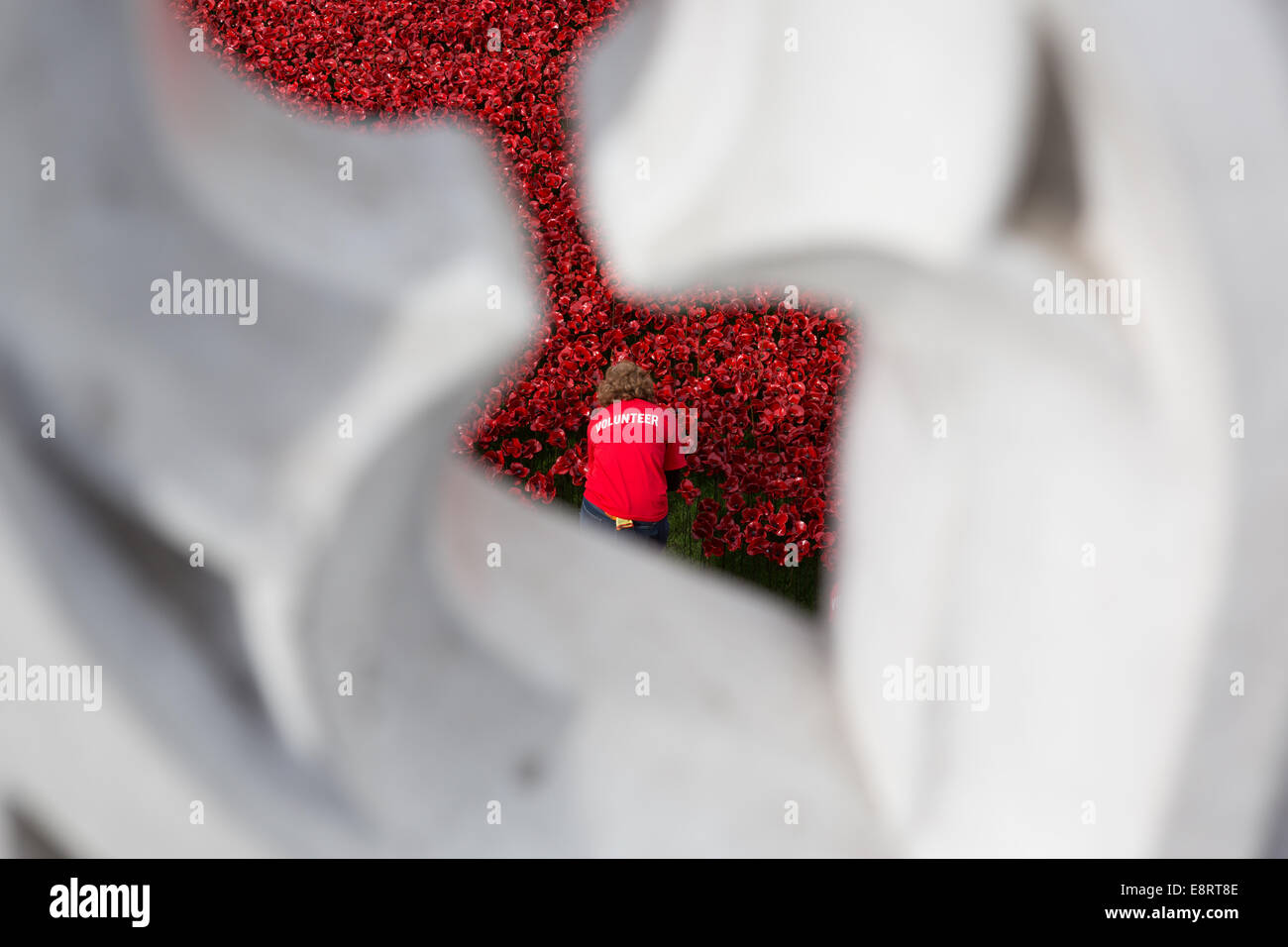Freiwilliger Werke rote Keramik Mohnblumen am Tower of London zum Gedenken an die Toten des ersten Weltkriegs - Blut Mehrfrequenzdarstellung Länder und Meere von rot. Stockfoto