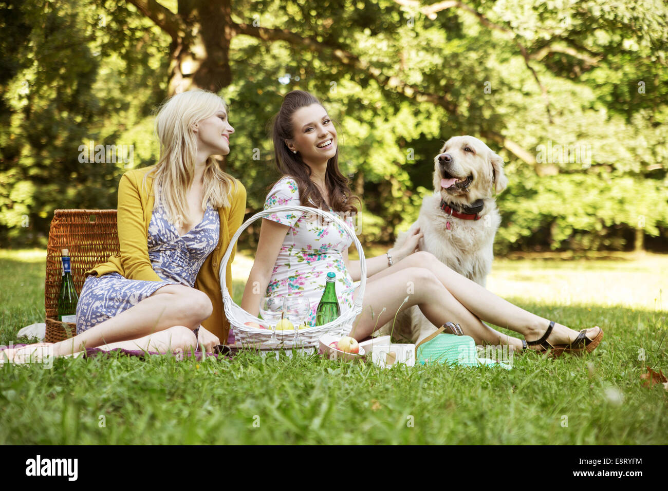 Zwei Freundinnen mit Hund auf der Sommer-Picknick Stockfoto