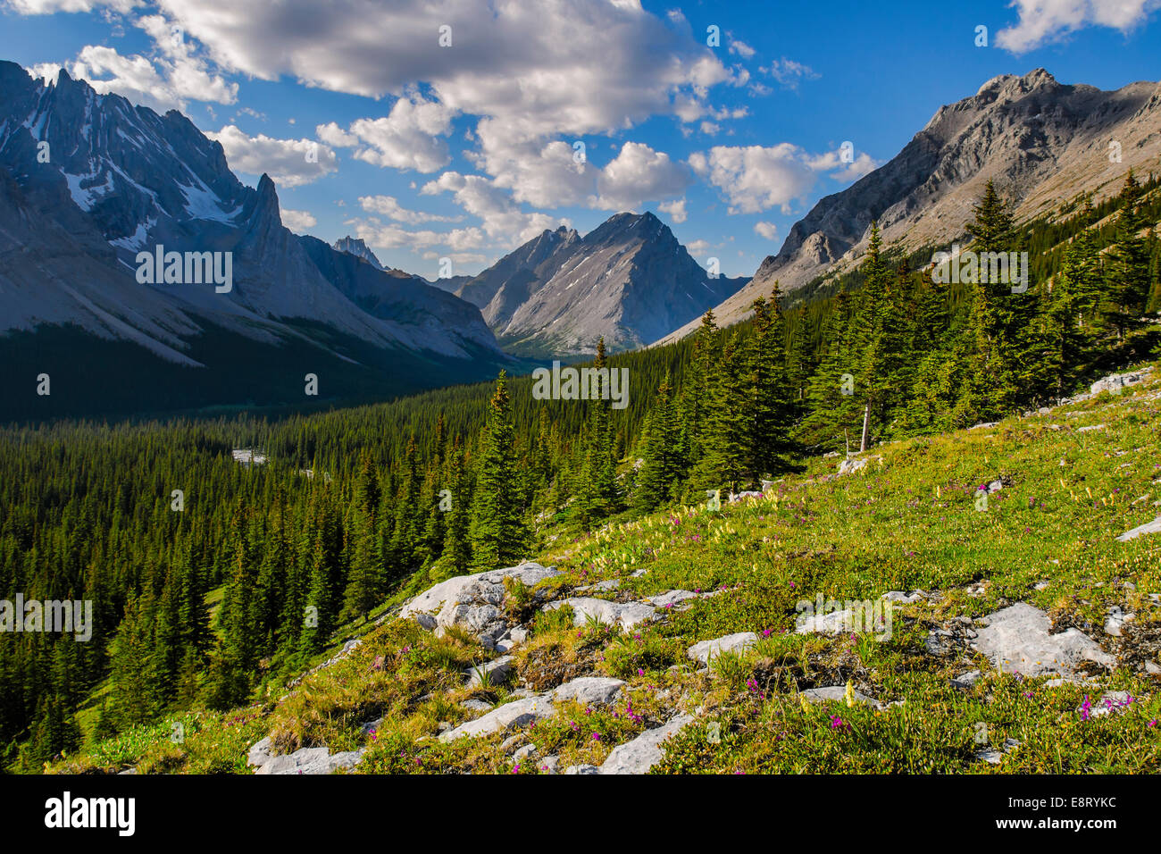 Landschaftlich reizvolle Bergwanderungen Ansichten, Rae Glacier und Ellenbogen Seengebiet, Peter Lougheed Provincial Park, Alberta Kanada Stockfoto