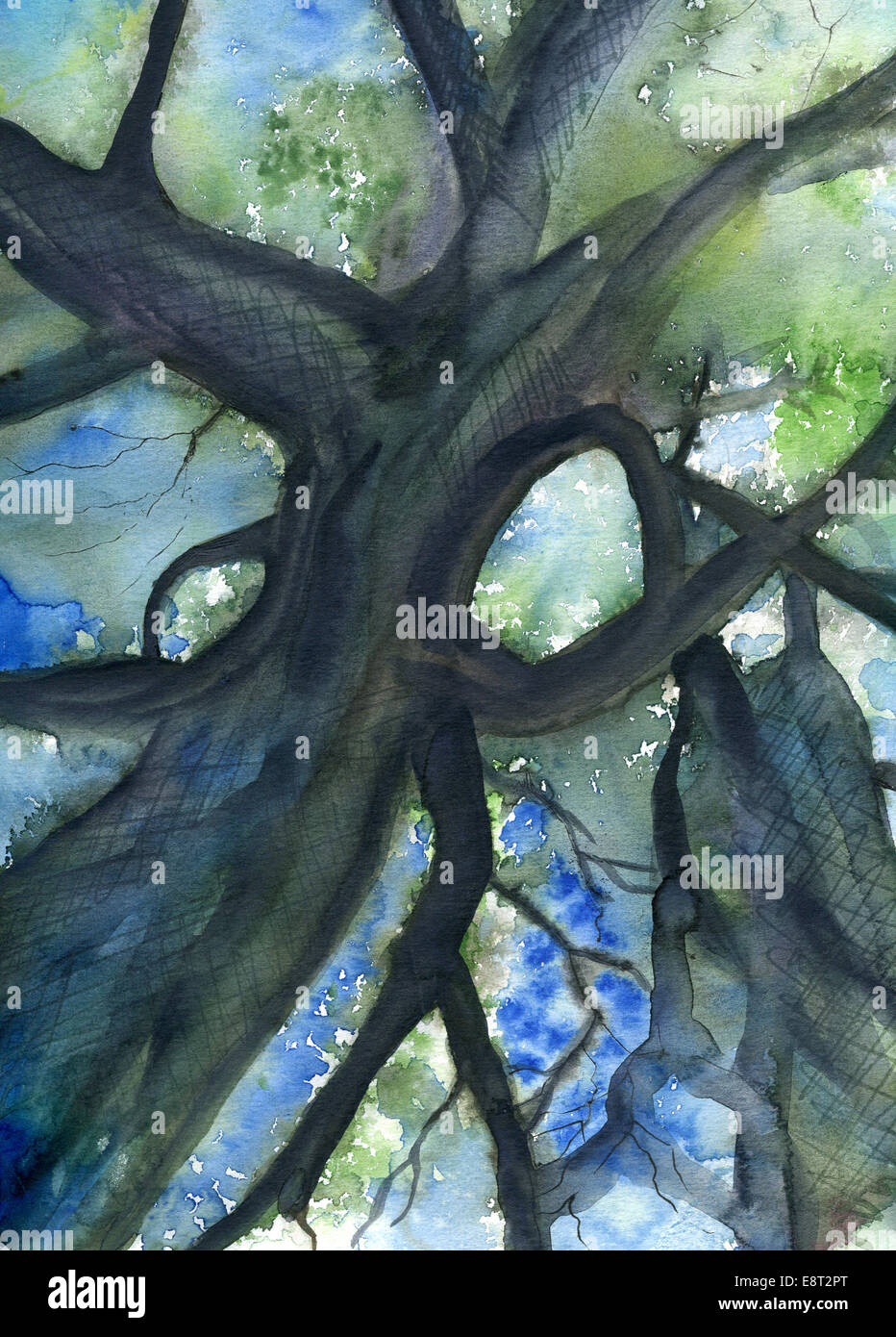 Baum Krone Aquarellmalerei mit Laub und Himmel Stockfoto