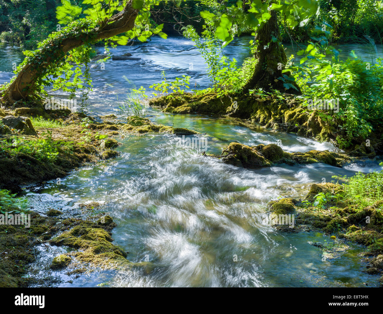 NP Nationalpark Krka in Kroatien die schönsten Natur in Kroatien Skradin Wasserfälle Natur grün Wasserflecken frisch Kalzium carbona Stockfoto