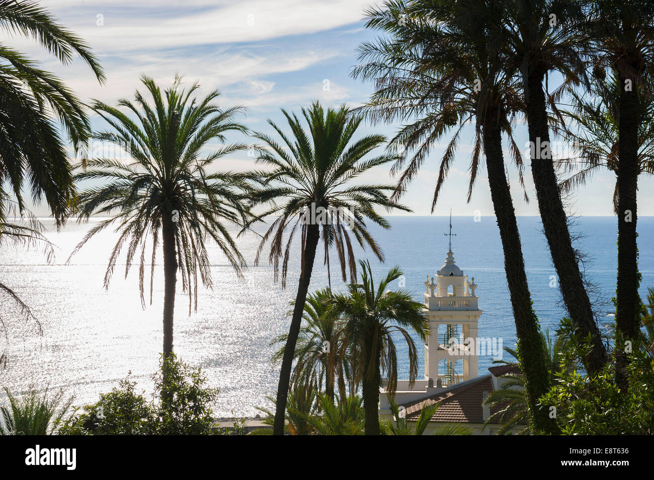 Kirchturm, Meer und Palmen Bäume, Bordighera, Imperia, Riviera dei Fiori, Ligurien, Italien Stockfoto