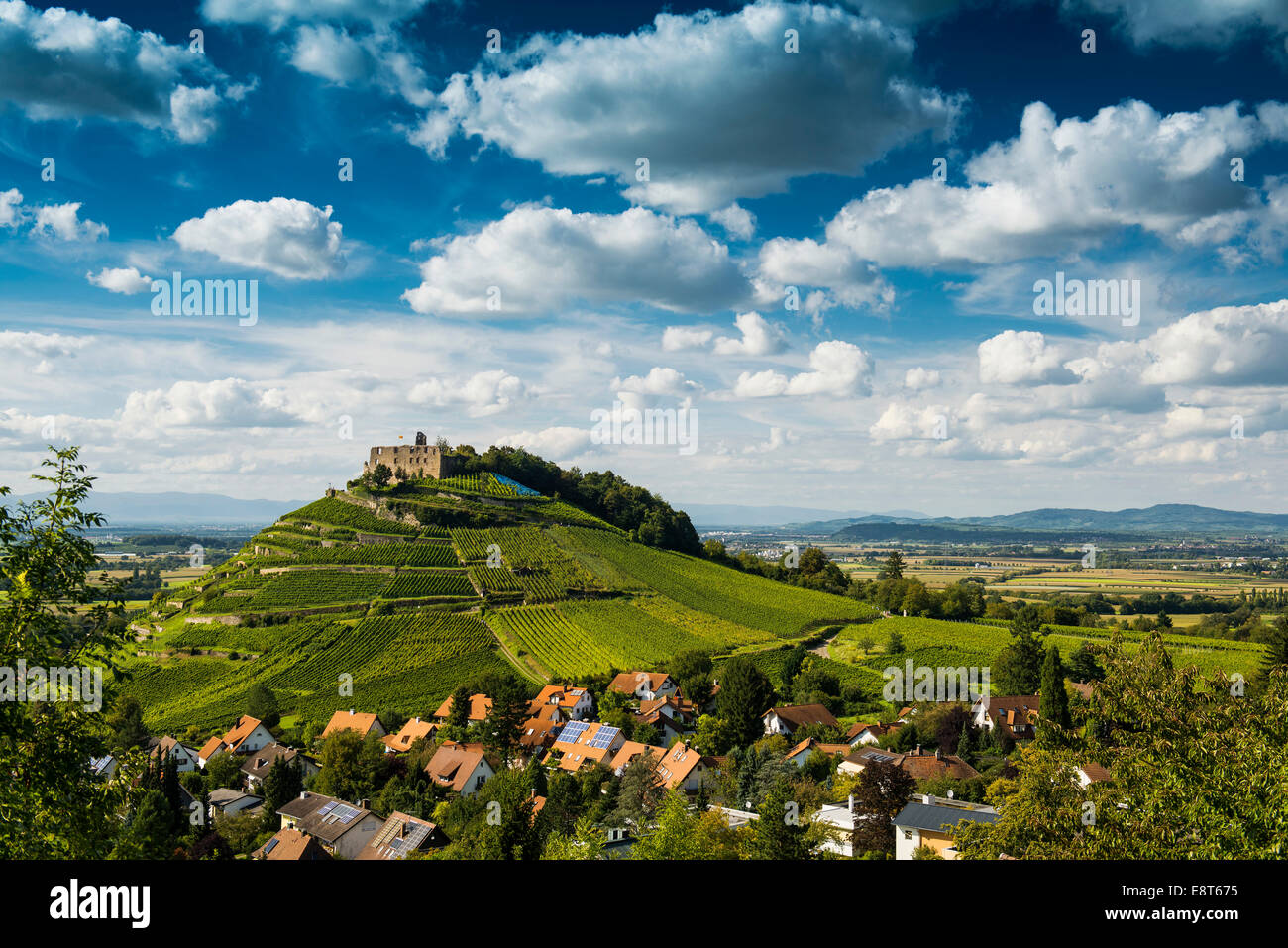 Weinberge und Burg Staufen, hinter dem Rheintal, Staufen Im Breisgau, Markgräflerland, Schwarzwald, Baden-Württemberg Stockfoto