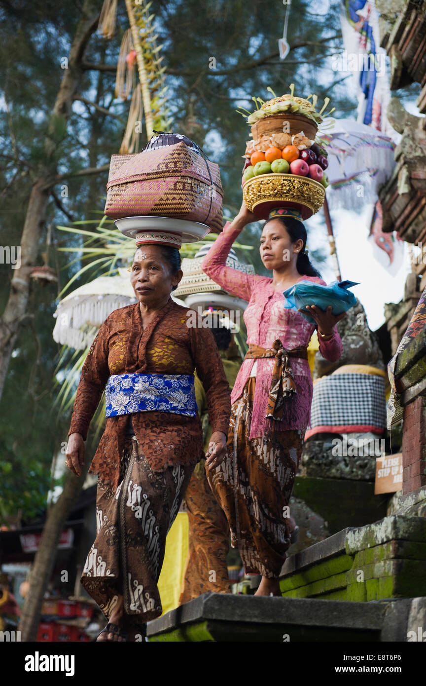 Frauen, die Bereitstellung von Sacrficial Angebote für einen Tempel, Padang Tegal, Ubud, Bali, Indonesien Stockfoto
