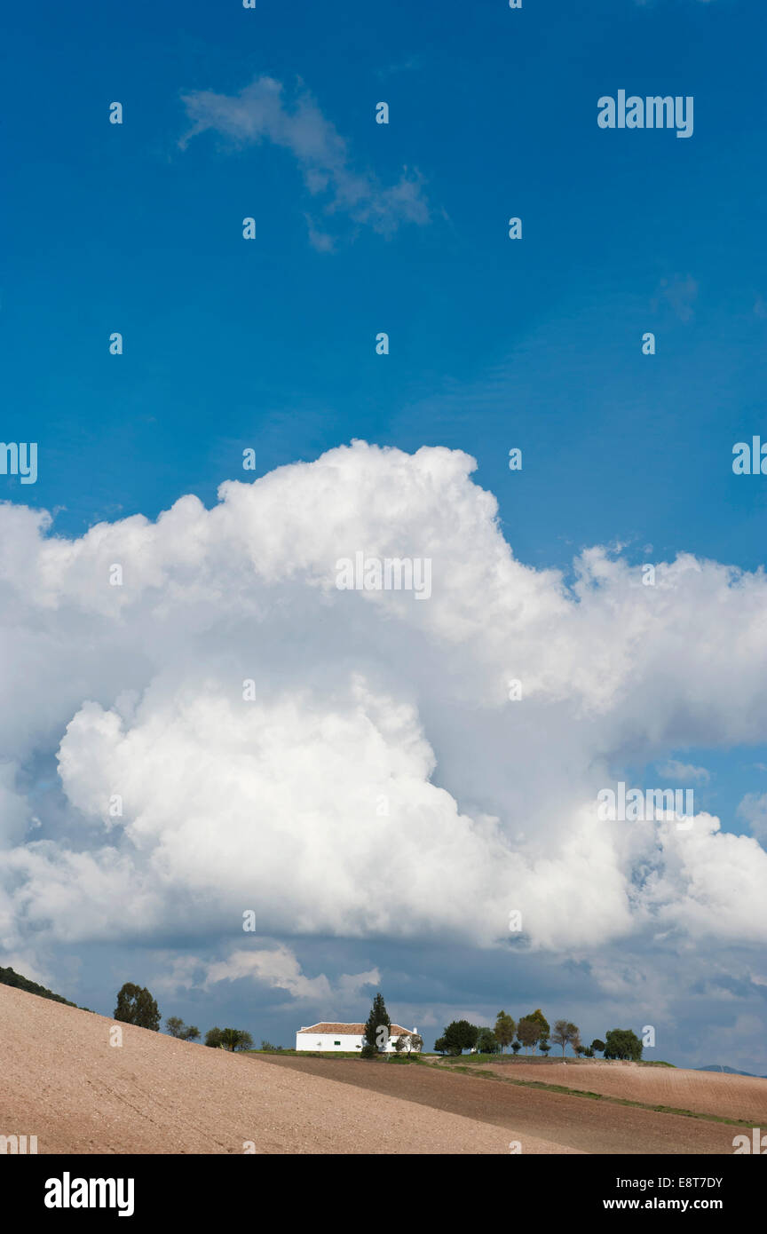 Haus und Felder, bewölkter Himmel, Sierra de Cádiz, Andalusien, Spanien Stockfoto