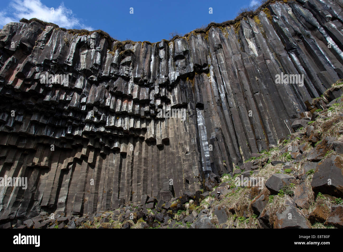 Basaltsäulen, Skaftafell-Nationalpark, Island Stockfoto