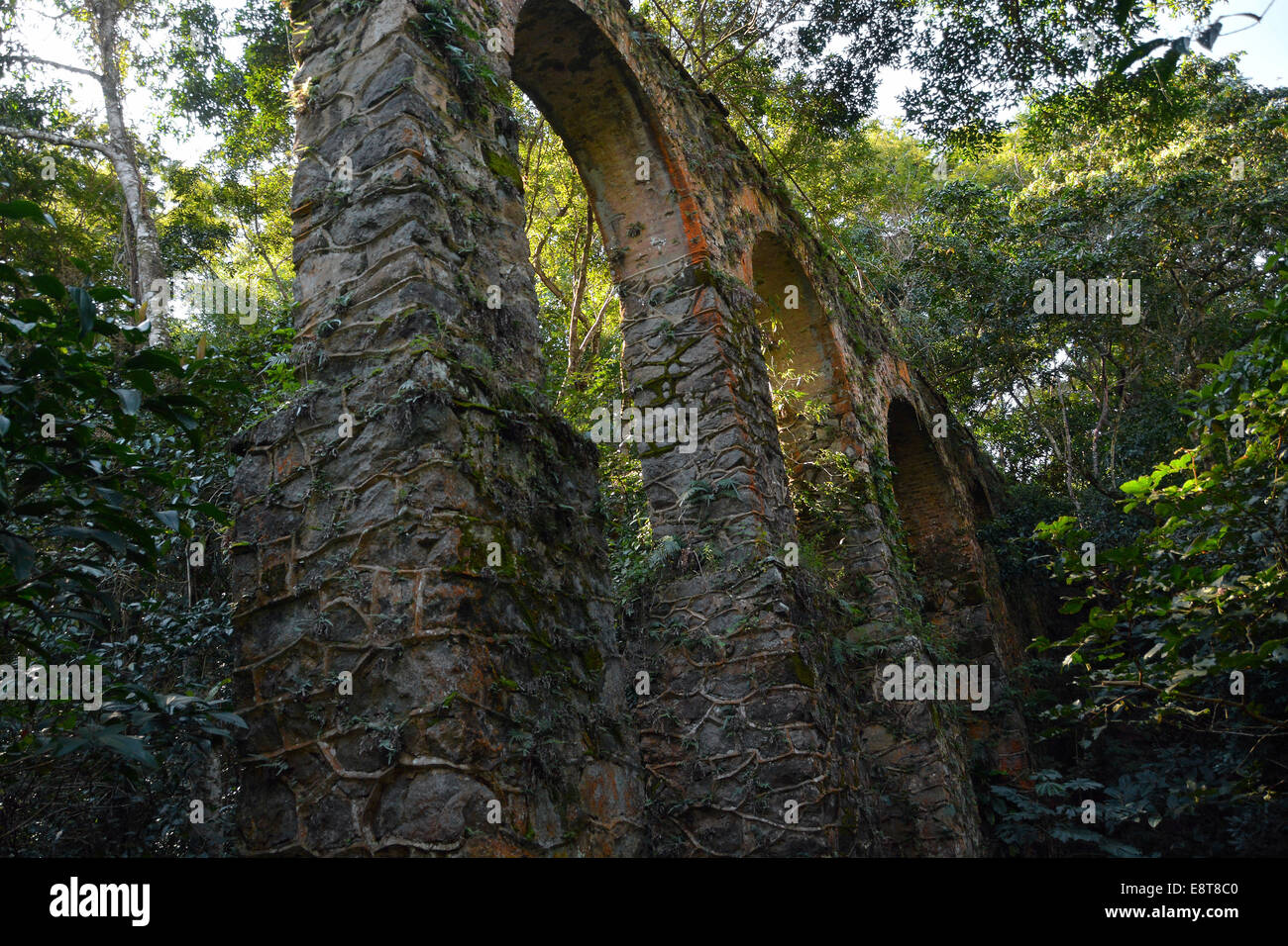 Aquädukt im Regenwald in der Nähe von abrao, Ilha Grande, Rio de Janeiro, Brasilien Stockfoto