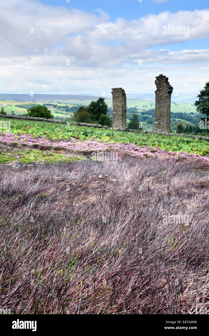 Verbranntem Heidekraut auf Yorkes Torheit bei Pateley Bridge Nidderdale Yorkshire England Stockfoto