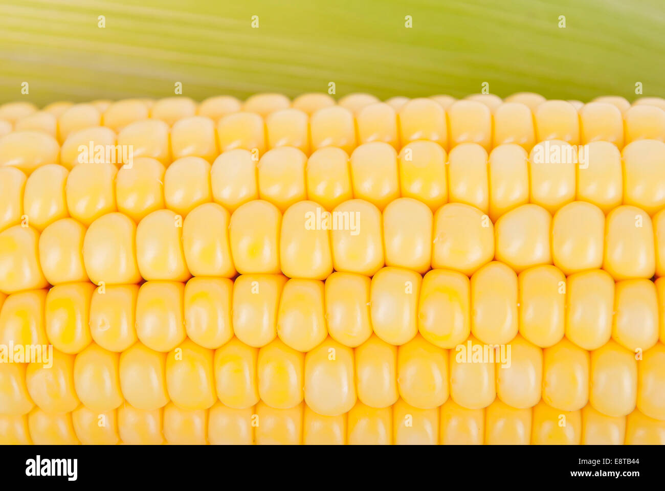 Mais auf der Cob-Nahaufnahme. Stockfoto