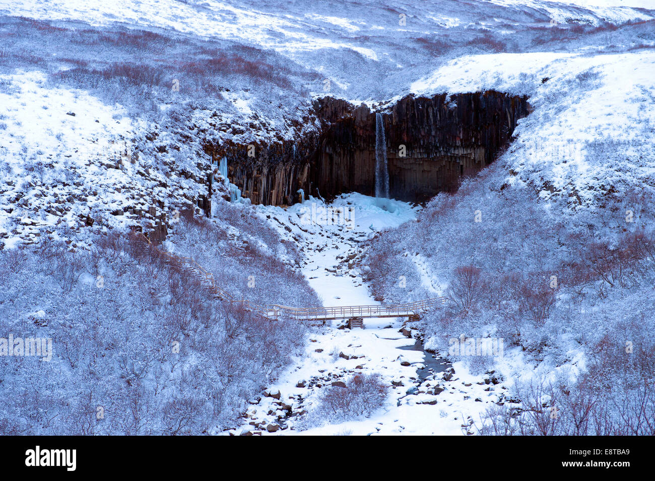 Wasserfall und Fluss in verschneiter Landschaft, Svartifoss, Sudhurland, Island Stockfoto