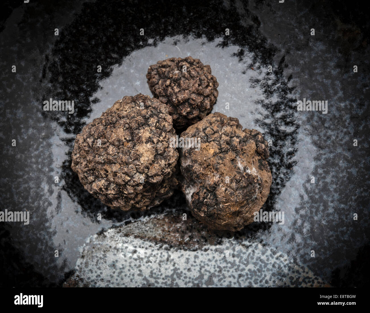 Schwarze Trüffel aus Italien (Tuber Melanosporum), allgemein bekannt als die Périgord-Trüffel Stockfoto