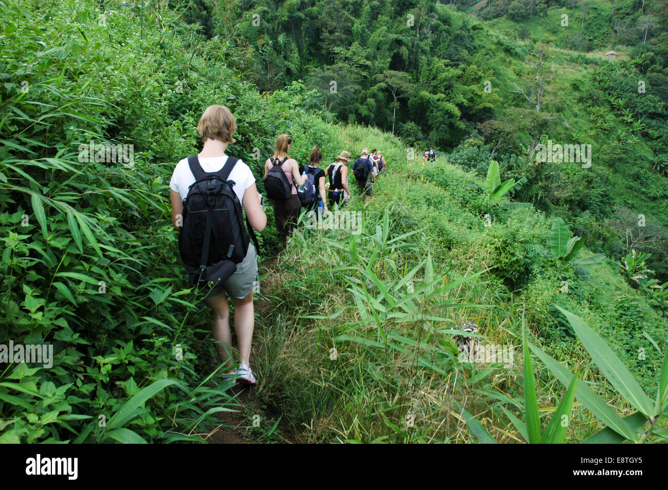 eine Reihe von westlichen Touristen Wandern durch den Dschungel im Norden Thailands mit Rucksäcken und Shorts auf einer organisierten Gruppenreise Stockfoto