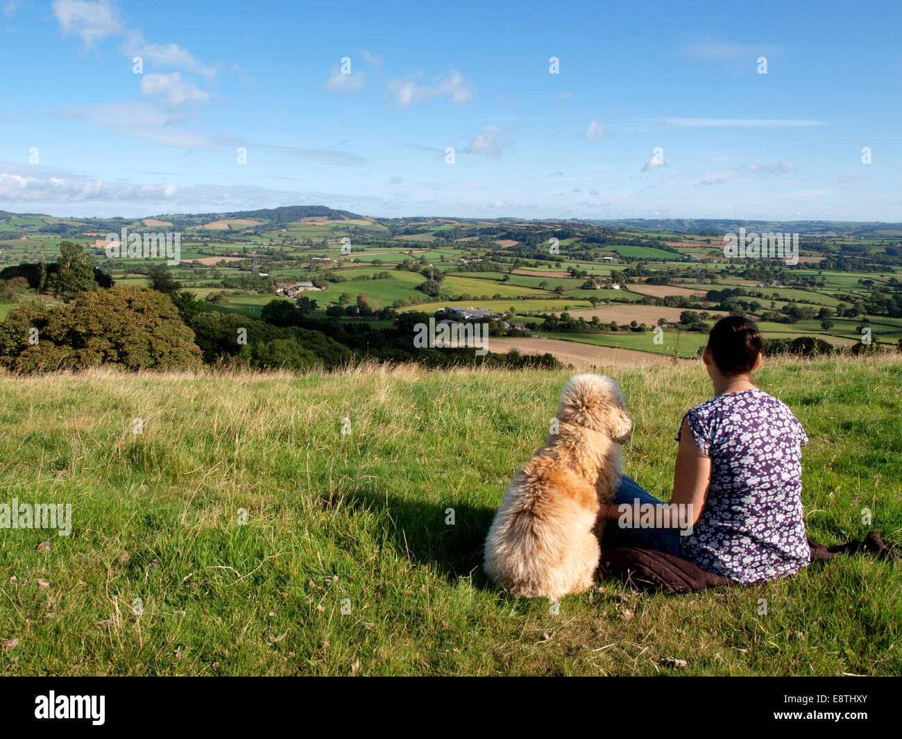 Frau und Hund saß auf einem Hügel mit Blick auf den Blick über die Dorset Landschaft, UK Stockfoto