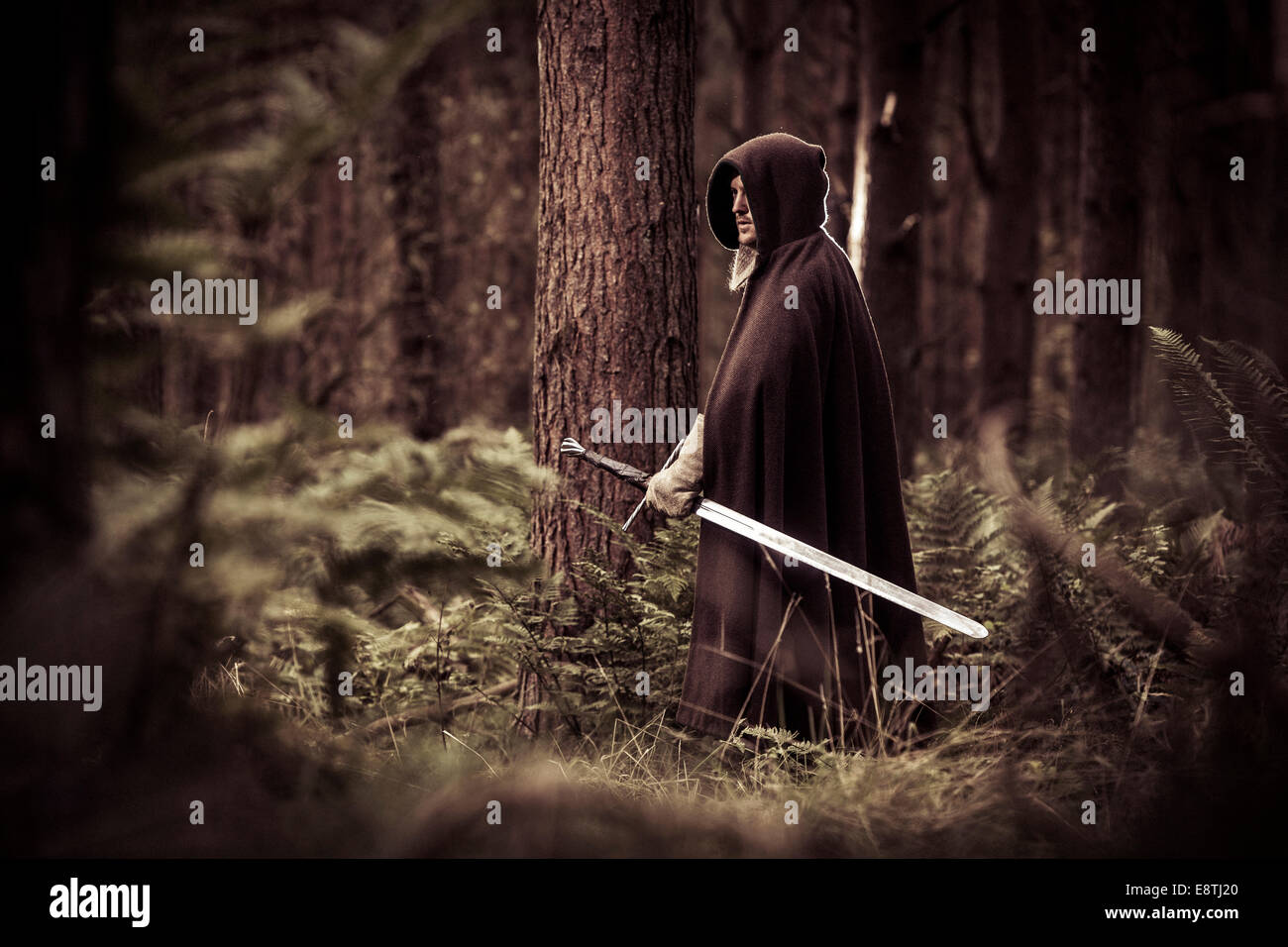 Tief im Wald steht ein Krieger bereit. Stockfoto