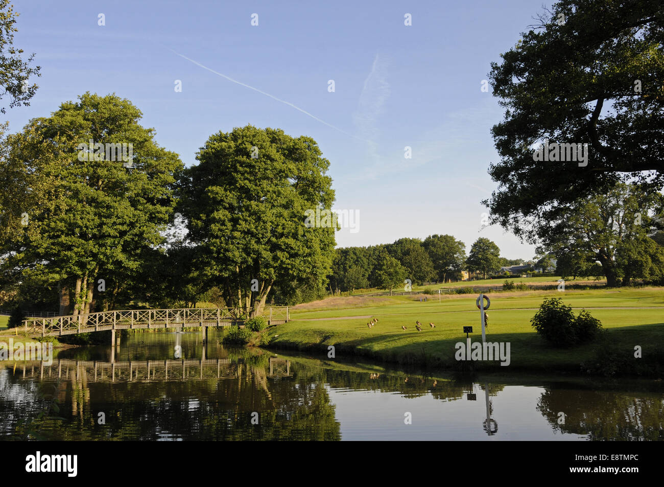 Blick auf den Teich am 9. Loch in Richtung der 1. grüne Windlesham Golf Club Bagshot Surrey England Stockfoto