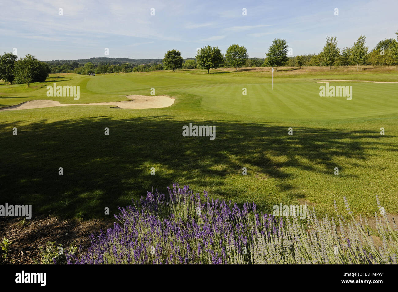 Blick über Blumen und 18. Green und Fairway Windlesham Golf Club Bagshot Surrey England Stockfoto