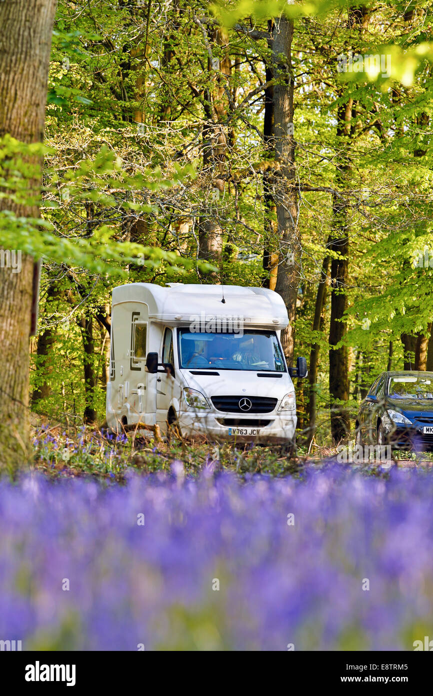 Glockenblumen; und Wohnmobil; Forest of Dean; UK Stockfoto