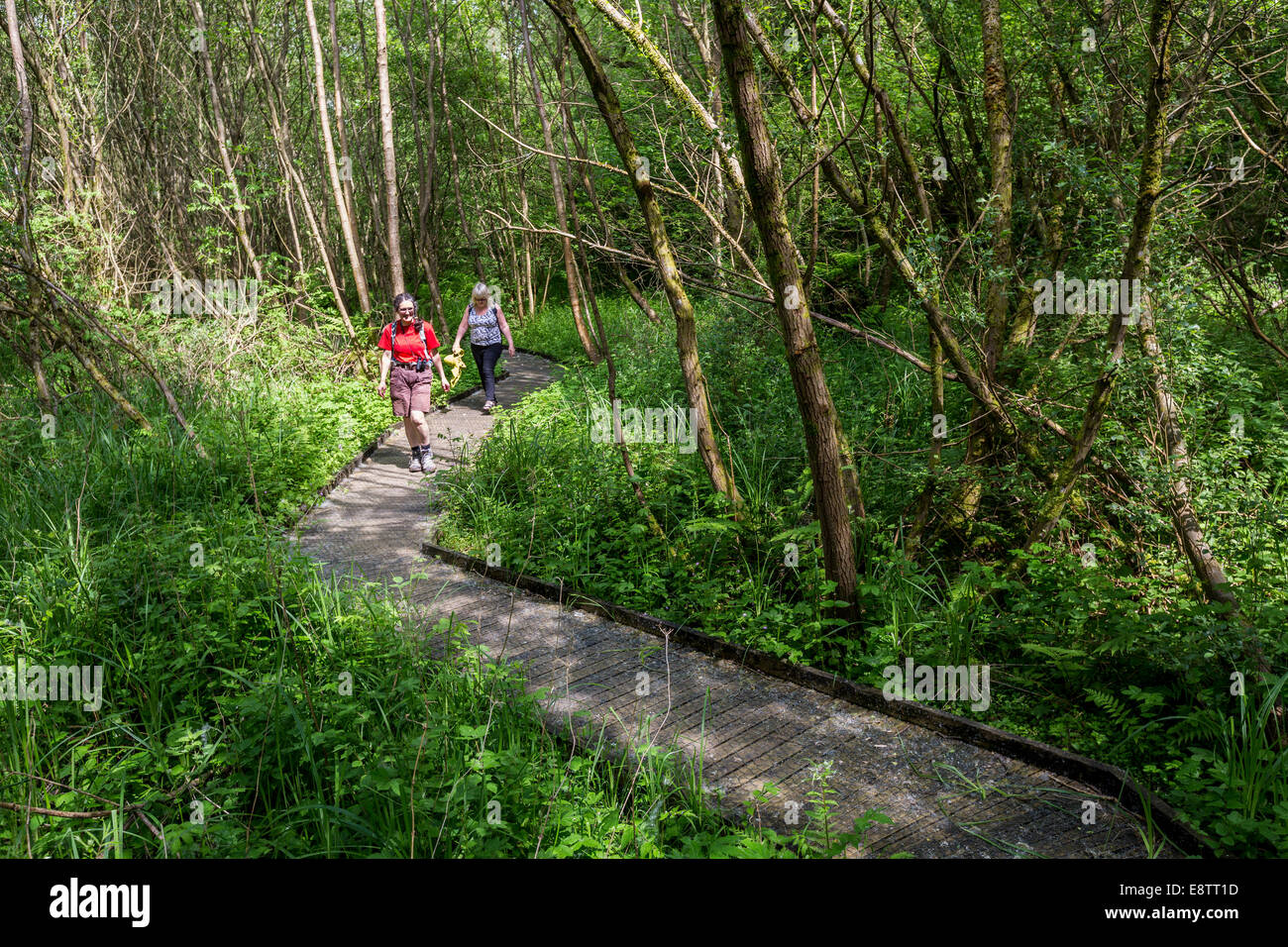 Zwei Frauen zu Fuß auf der Promenade in Bryn Arw Natur zu reservieren, in der Nähe von Abergavenny, Wales, UK Stockfoto