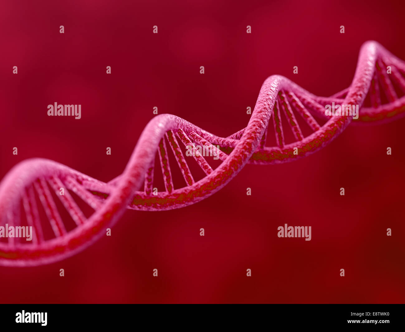 3D Render DNA auf rotem Grund Stockfoto