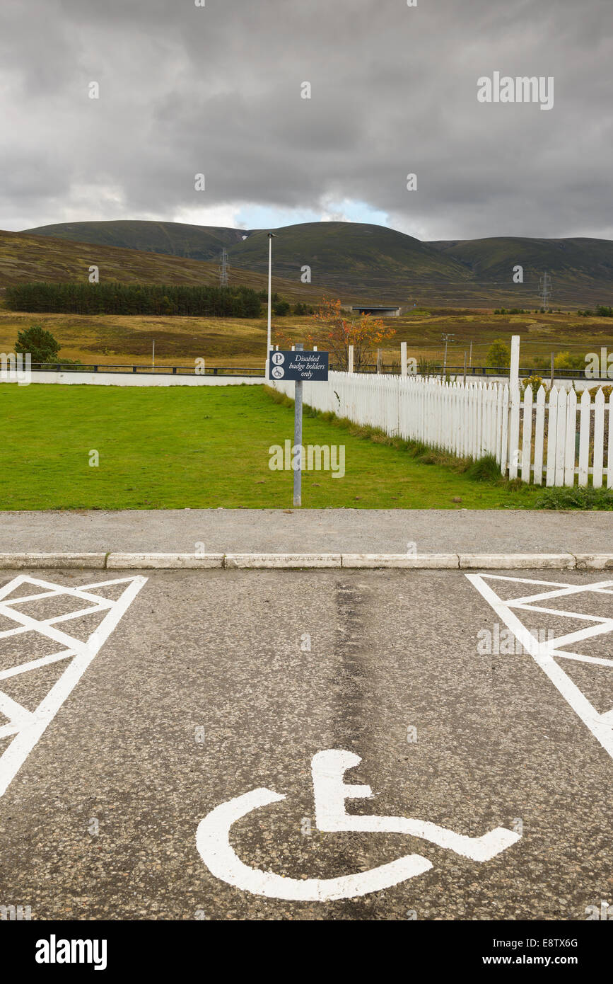 Ein Behindertenparkplatz mit Symbol und Zeichen auf einem asphaltierten Parkplatz unbesetzt Stockfoto