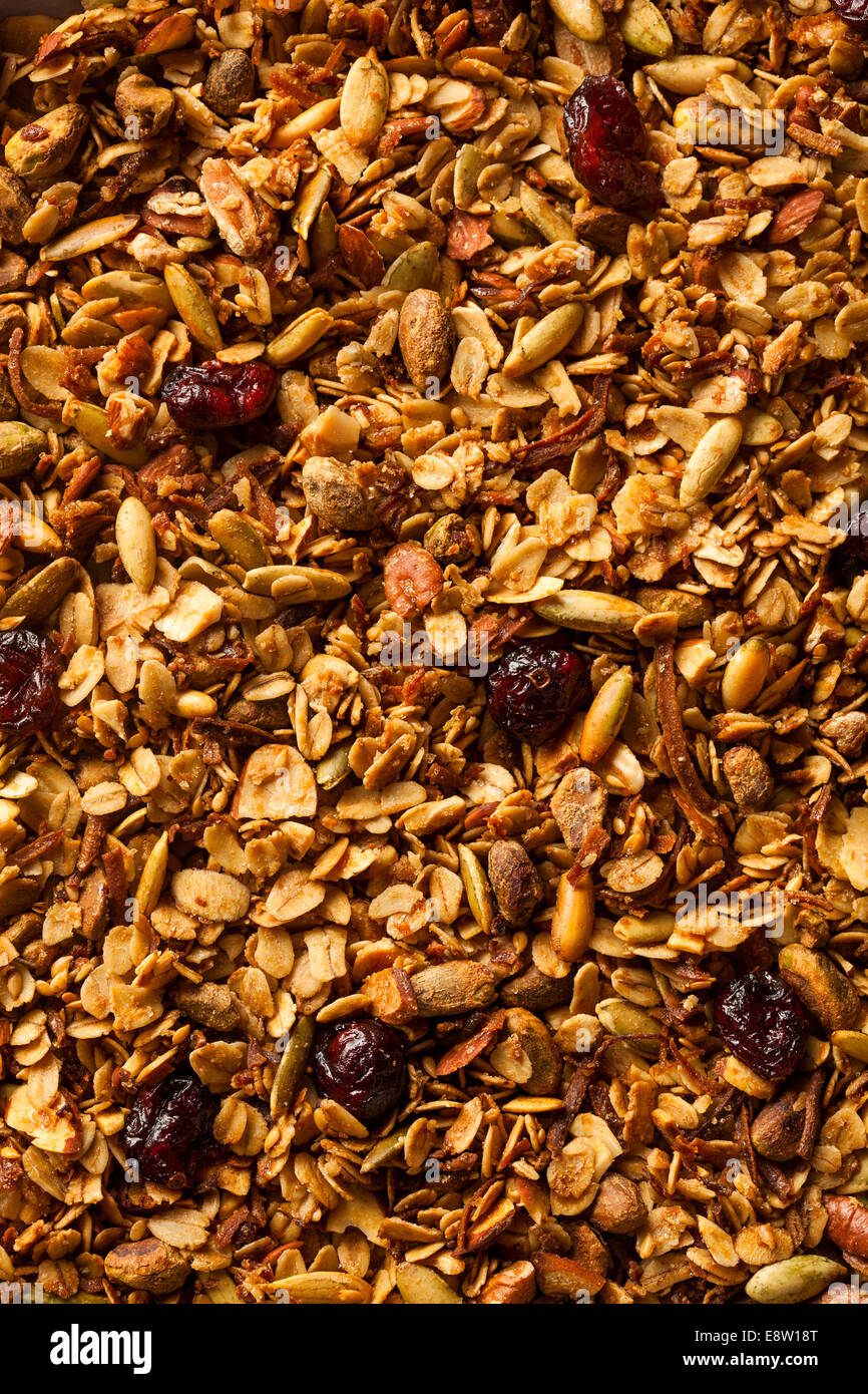Gesunden hausgemachtem Müsli mit Nüssen und getrockneten Cranberries Stockfoto